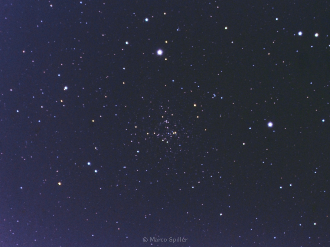 NGC 6819 - testa di volpe